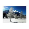101875-860.jpg Blue Sky Cold Daylight Fosty Trees Poster