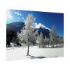 101875-862.jpg Blue Sky Cold Daylight Fosty Trees Poster