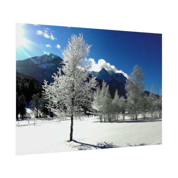 101875-862.jpg Blue Sky Cold Daylight Fosty Trees Poster