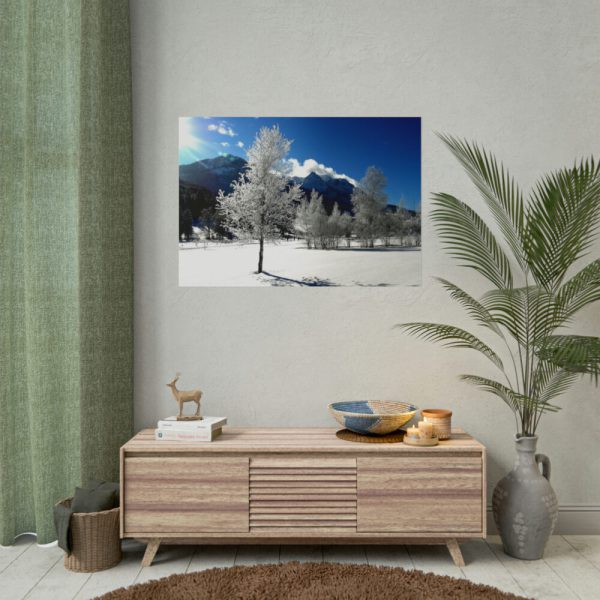 101875-863.jpg Blue Sky Cold Daylight Fosty Trees Poster