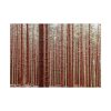 Forest Trees in Autumn Poster