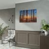 101875-884.jpg Sun and Trees Poster
