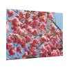 101875-897.jpg Japanese Cherry Tree Poster
