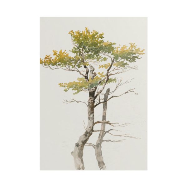 101894-140.jpg Study of Deciduous Tree by Friedrich von Scheidlin Poster