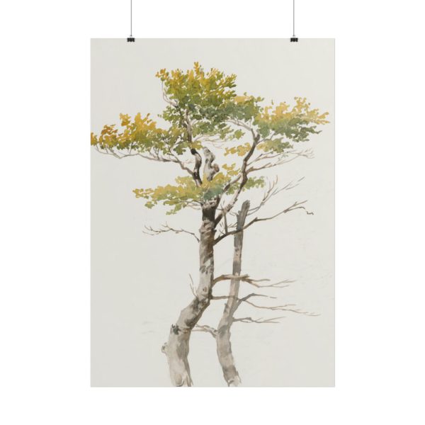101894-141.jpg Study of Deciduous Tree by Friedrich von Scheidlin Poster