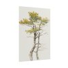 101894-142.jpg Study of Deciduous Tree by Friedrich von Scheidlin Poster