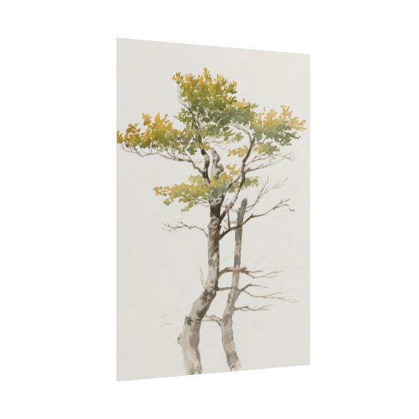 101894-142.jpg Study of Deciduous Tree by Friedrich von Scheidlin Poster