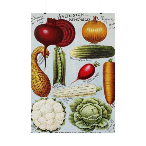 101894-351.jpg Rawson's Vegetable and Flower Seeds Poster