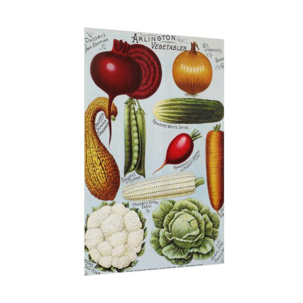 101894-352.jpg Rawson's Vegetable and Flower Seeds Poster