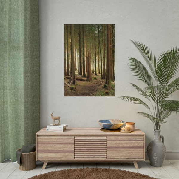 101894-418.jpg Trees in Forest Poster