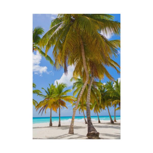 101894-425.jpg Palm Trees On The Beach Poster