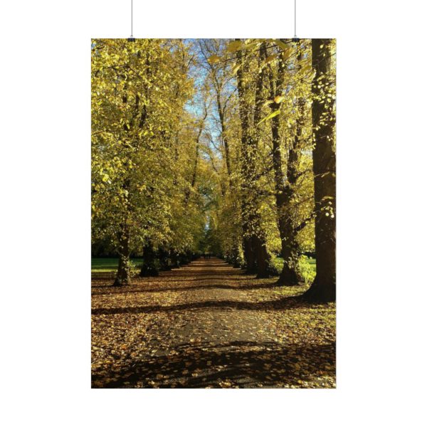 101894-446.jpg Yellow Fallen Leaves From Trees Poster