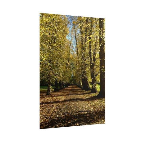 101894-447.jpg Yellow Fallen Leaves From Trees Poster
