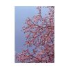 Pink Tree Blossom Poster