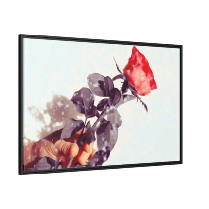 Rose Gift Flowers Framed Canvas