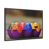 Funny Colorful Framed Canvas