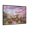 88289-235.jpg Cherry Blossom in Japan Framed Canvas