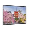 88289-240.jpg Cherry Blossom in Tokio Framed Canvas