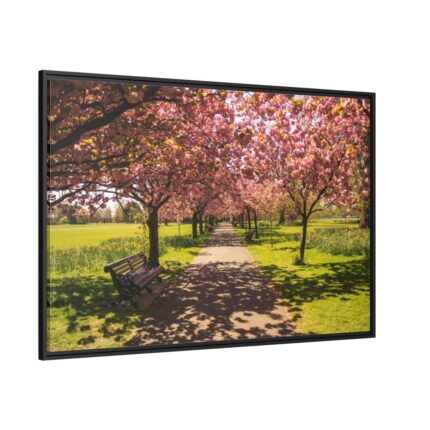 Park with Pink Blossom Trees Framed Canvas