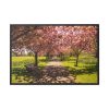 88289-246.jpg Park with Pink Blossom Trees Framed Canvas
