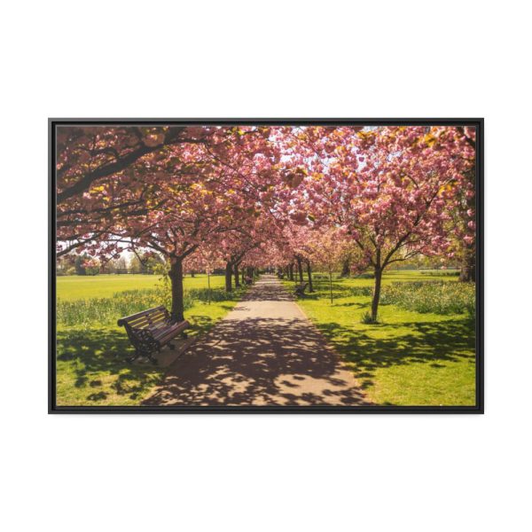 88289-246.jpg Park with Pink Blossom Trees Framed Canvas