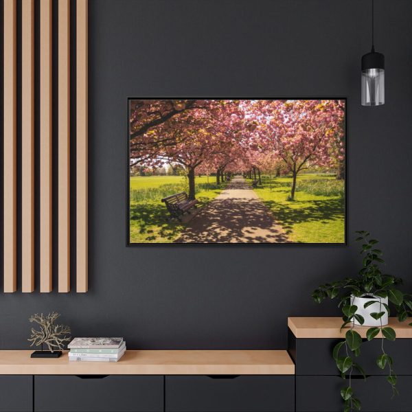 88289-249.jpg Park with Pink Blossom Trees Framed Canvas