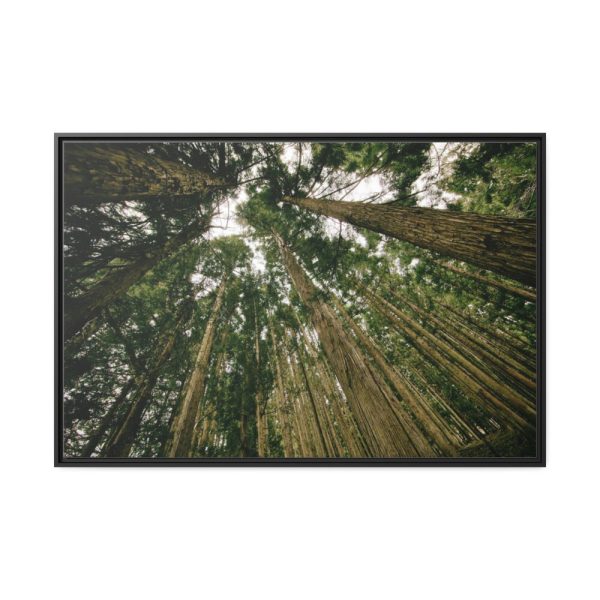 88289-316.jpg Perspective Tall High Up Trees Framed Canvas