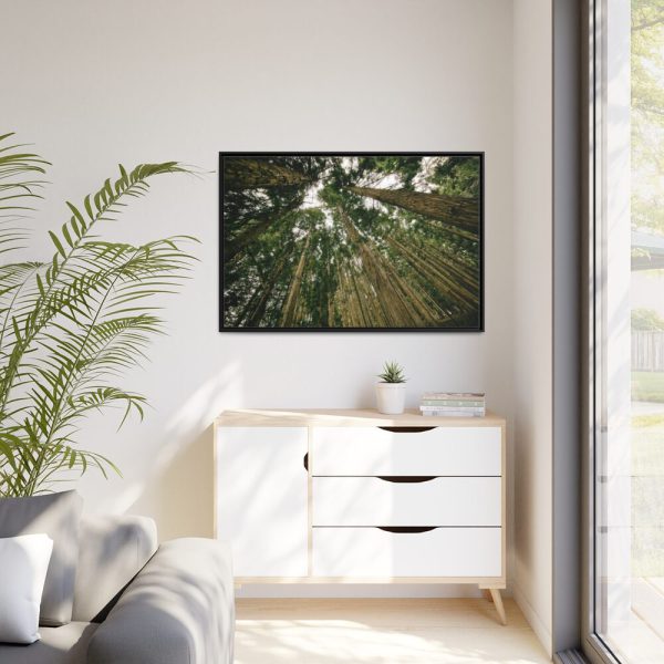 88289-318.jpg Perspective Tall High Up Trees Framed Canvas