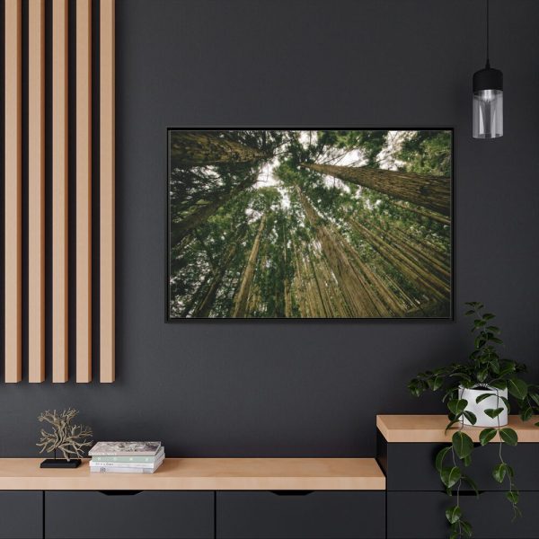 88289-319.jpg Perspective Tall High Up Trees Framed Canvas