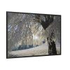 88289-330.jpg Tree Hoarfrost Framed Canvas