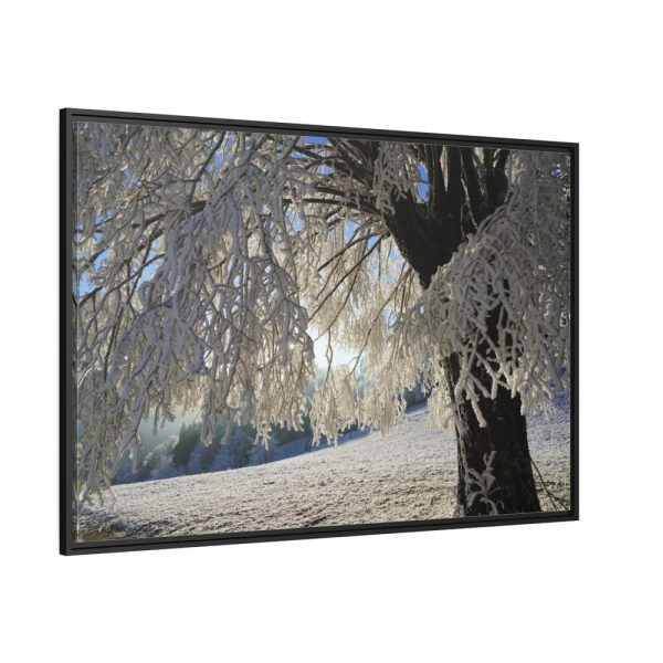 88289-330.jpg Tree Hoarfrost Framed Canvas