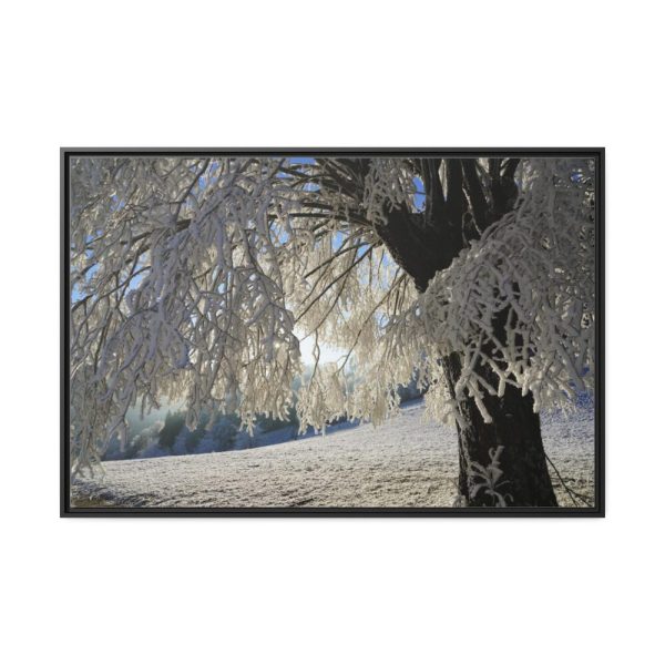 88289-331.jpg Tree Hoarfrost Framed Canvas