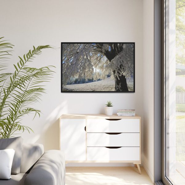 88289-333.jpg Tree Hoarfrost Framed Canvas