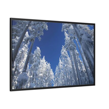 Snow Ponderosa Pines Trees Framed Canvas