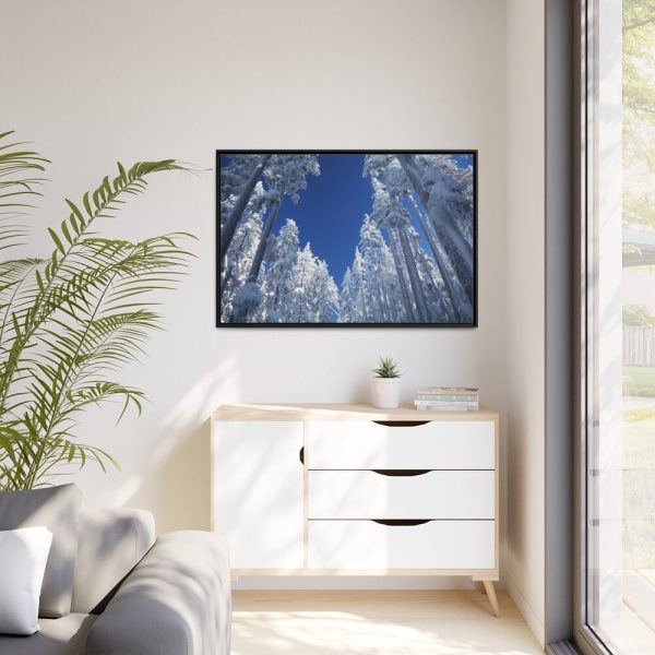 88289-338.jpg Snow Ponderosa Pines Trees Framed Canvas