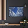 88289-339.jpg Snow Ponderosa Pines Trees Framed Canvas
