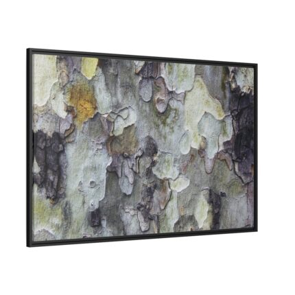 Tree Bark Texture Framed Canvas