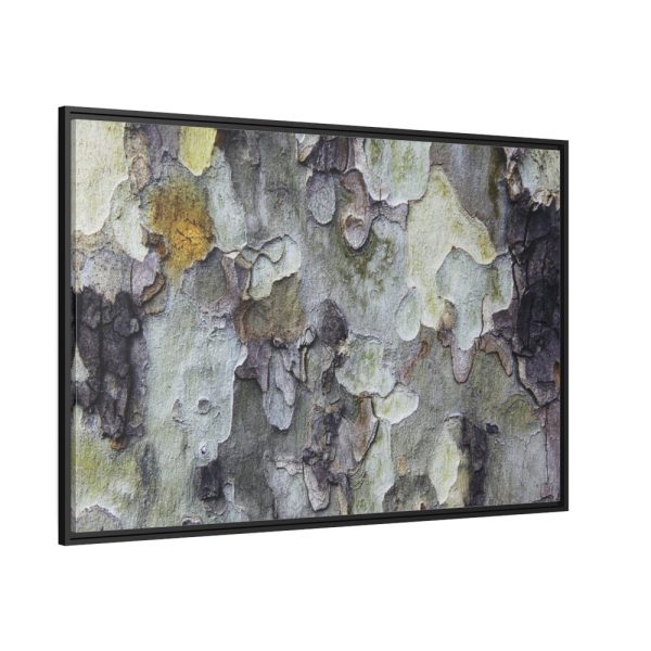 88289-375.jpg Tree Bark Texture Framed Canvas