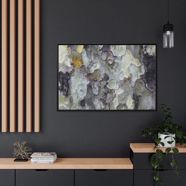 88289-379.jpg Tree Bark Texture Framed Canvas