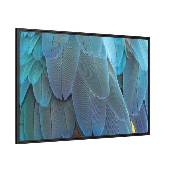 88289-385.jpg Parrot Feathers Texture Framed Canvas