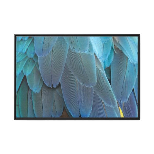 88289-386.jpg Parrot Feathers Texture Framed Canvas
