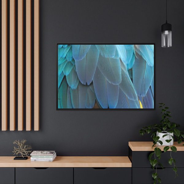 88289-389.jpg Parrot Feathers Texture Framed Canvas