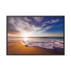 California Beach Framed Canvas