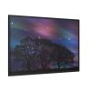 88289-520.jpg Tree Forest Starry Aurora Framed Canvas