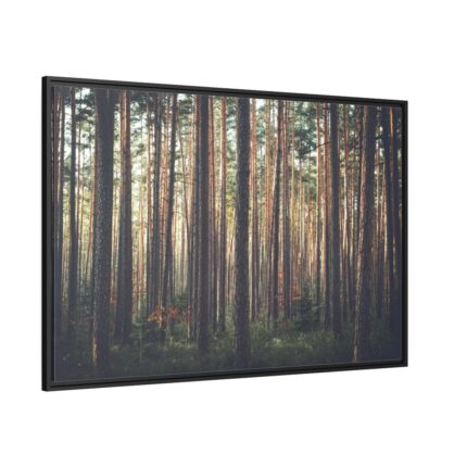 Thicket Pine Trees Framed Canvas