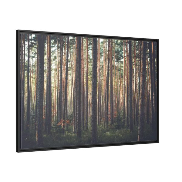 88289-610.jpg Thicket Pine Trees Framed Canvas