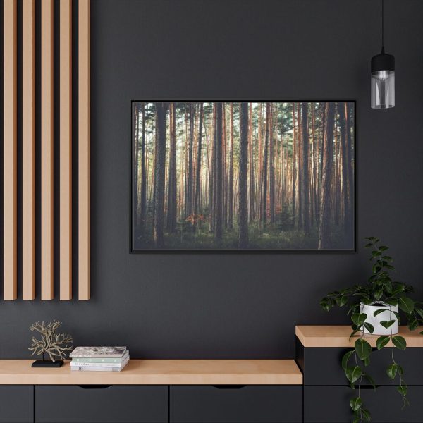 88289-614.jpg Thicket Pine Trees Framed Canvas