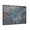 88289-625.jpg Trees Upward Framed Canvas