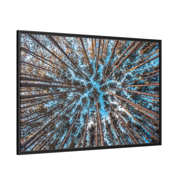 88289-625.jpg Trees Upward Framed Canvas