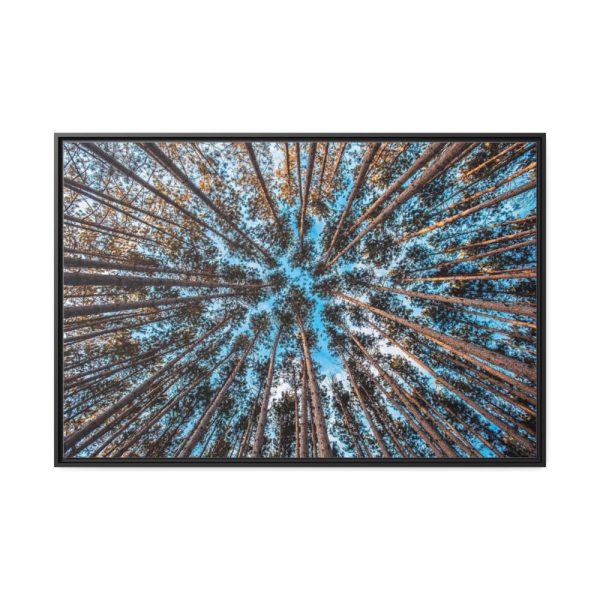 88289-626.jpg Trees Upward Framed Canvas